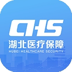 湖北智慧医保