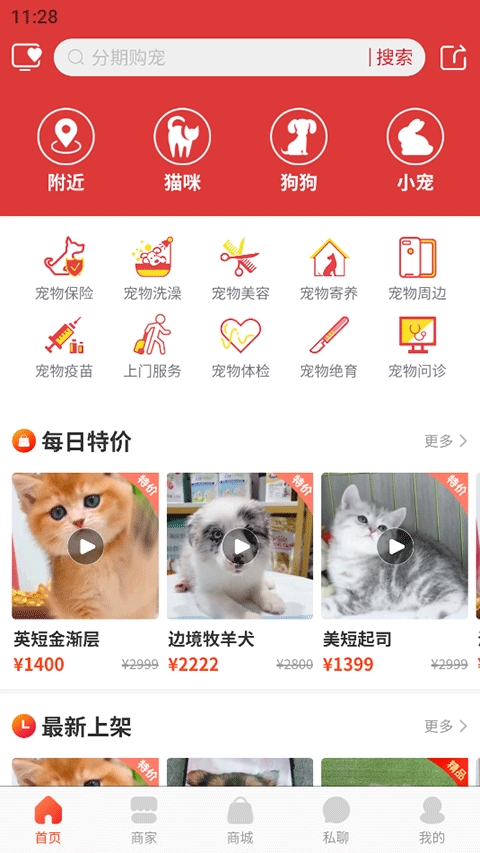 宠物市场