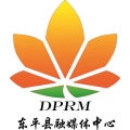 东平手机台
