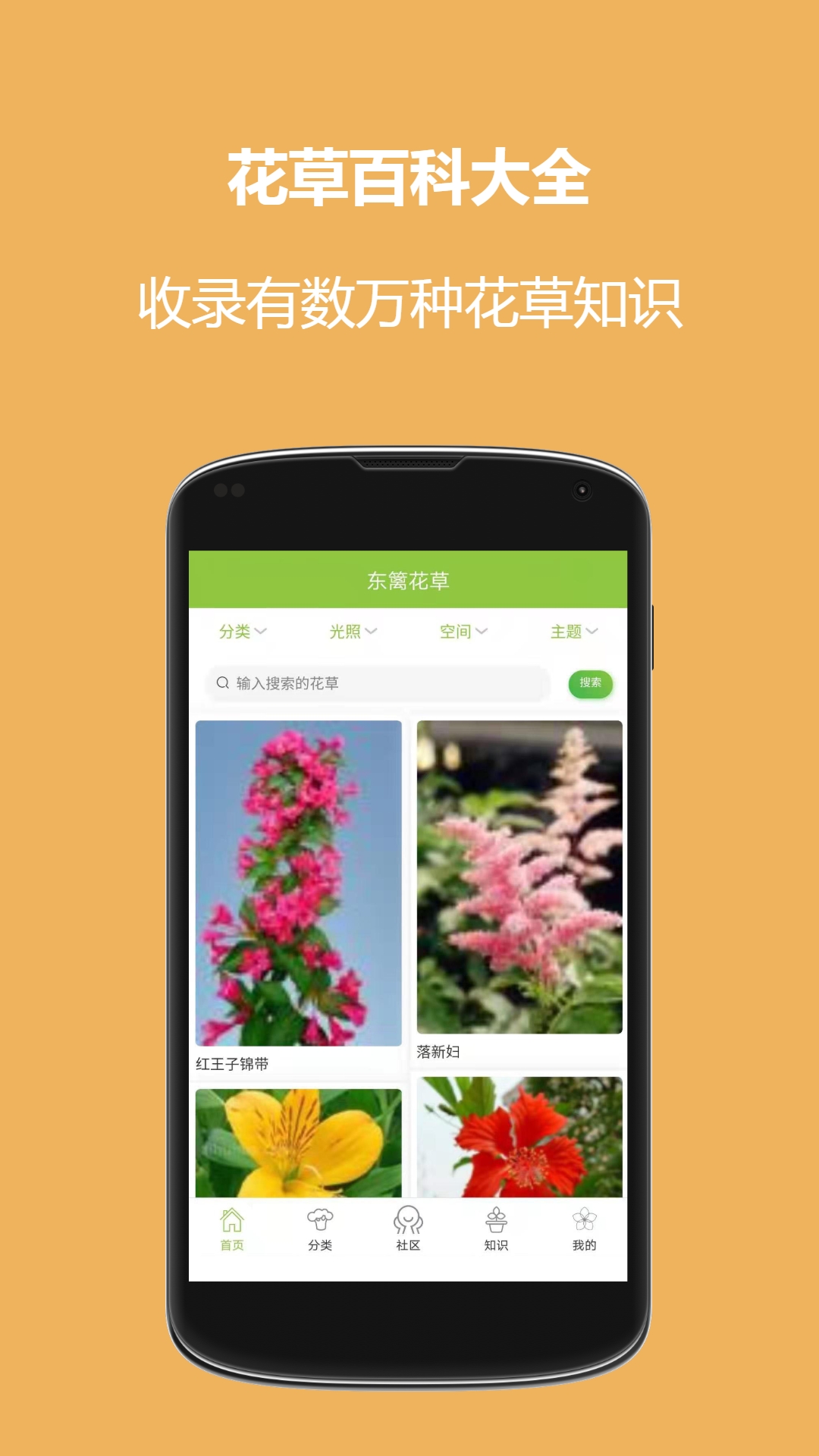 东篱花草