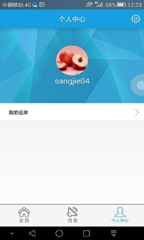 中储智运水运版
