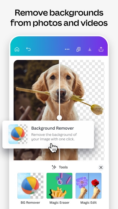 可画canva