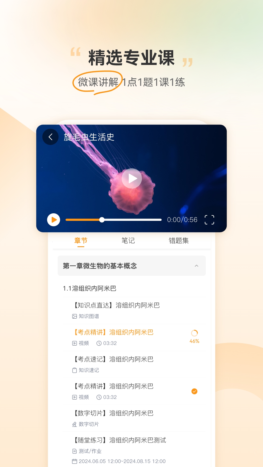 芝士医生