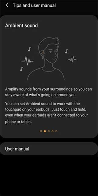Galaxy Buds+ Manager