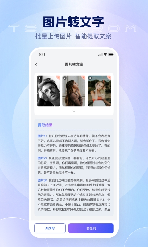 爱拍蜂