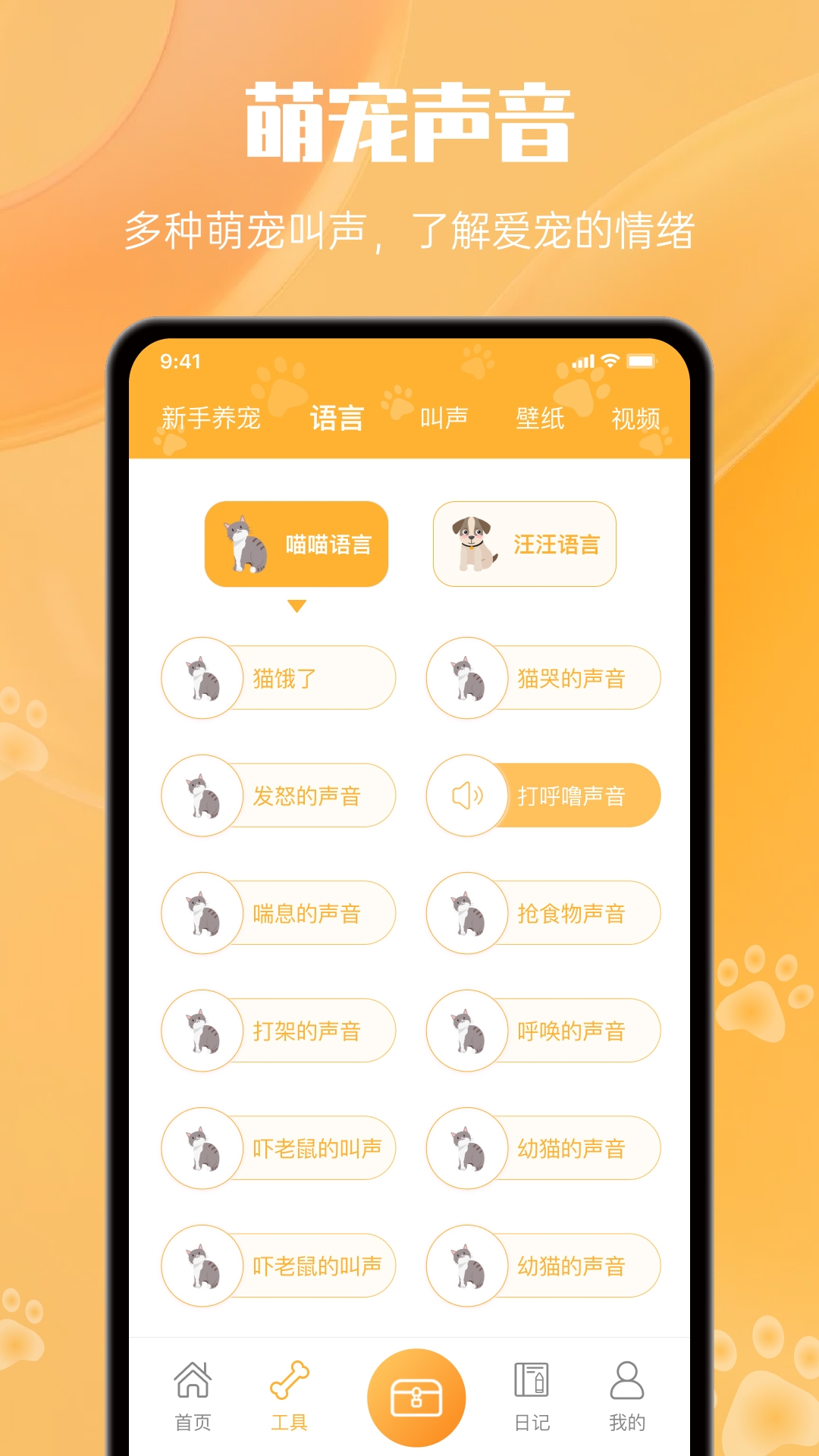 猫翻译app