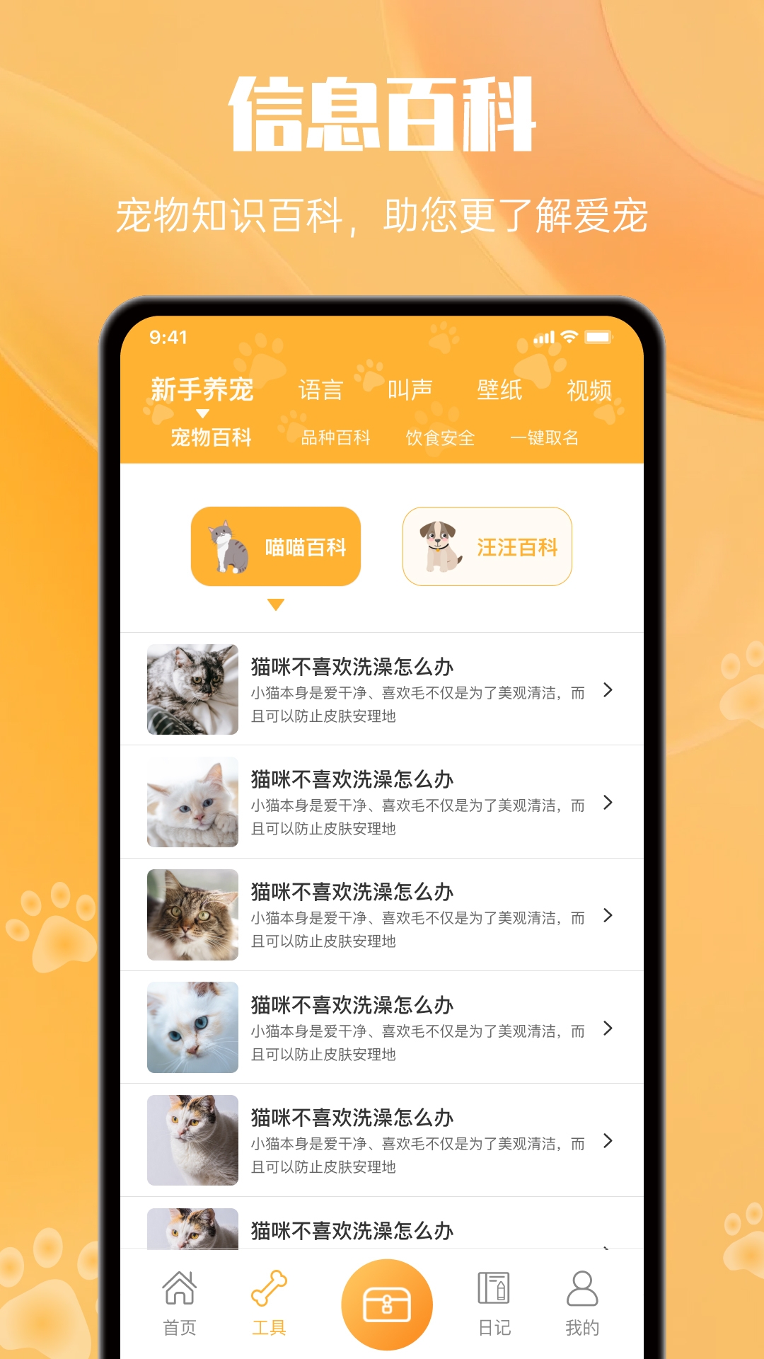 猫翻译app