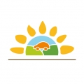娄e行app