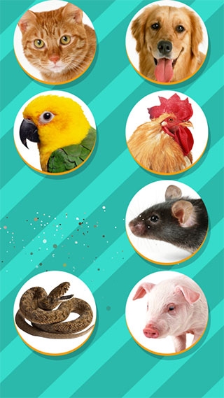 Pet Translator