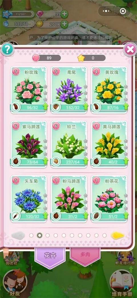 鲜花小镇