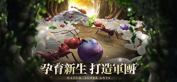 小小蚁国(The Ants)
