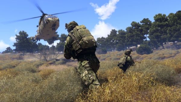 武装突袭2(Arma 2: Firing Range THD)