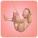 九个月(Idle 9 Months)
