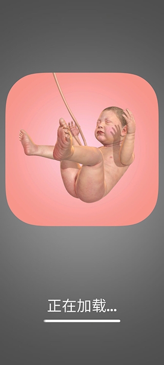 九个月(Idle 9 Months)